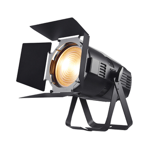 High CRI 95 400W / 200W Couleur unique / Bi-Color LED Fresnel Par Light